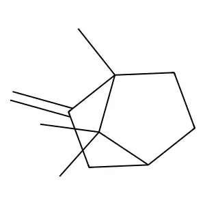1,7,7-Trimethyl-2-methylidenebicyclo[2.2.1]heptane structure
