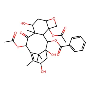 巴卡亭III structure