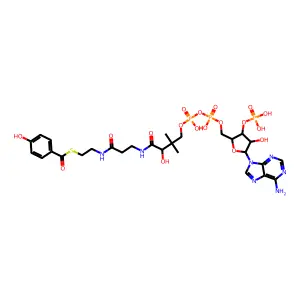 4-羟基苯甲酰辅酶A structure