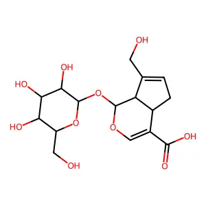 靛榄糖苷酸 structure