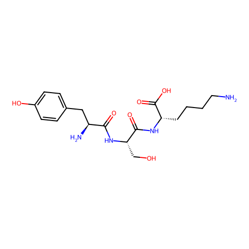 Tyr-Ser-Lys structure