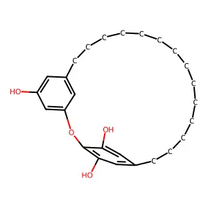 Robustol structure