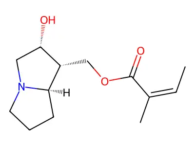 Macrophylline structure