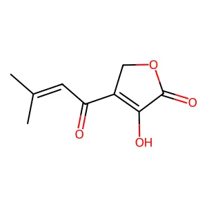 3-Hydroxy-4-(3-methylbut-2-enoyl)furan-2(5H)-one structure