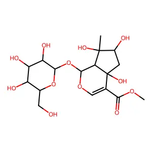 Lamiide structure