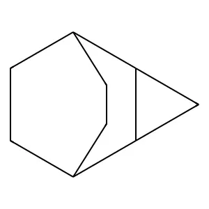 Tricyclo(3.2.2.02,4)nonane structure