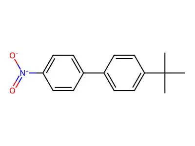 1,1'-Biphenyl, 4-(1,1-dimethylethyl)-4'-nitro- structure
