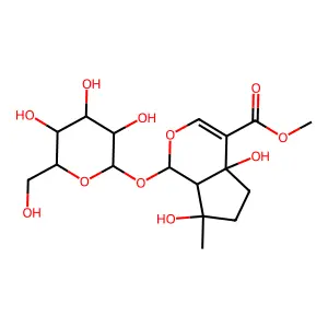 Ipolamiide structure