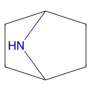 7-Azabicyclo(2.2.1)heptane structure