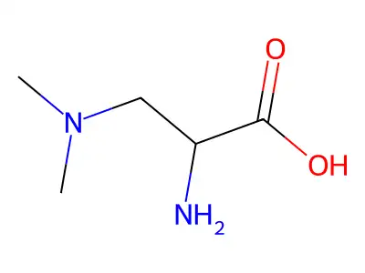 4-aza-DL-leucine structure
