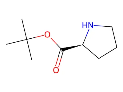 tert-butyl L-prolinate structure