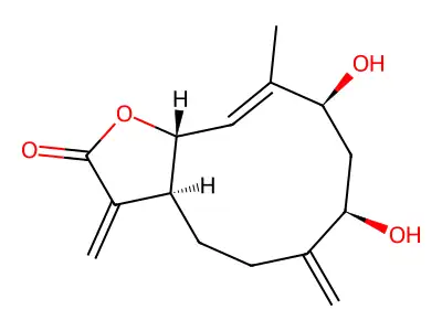 Ridentin structure