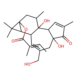 12-Deoxyphorbol-13-angelate structure