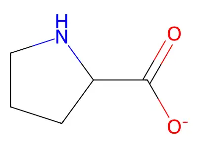 Proline, ion(1-) structure