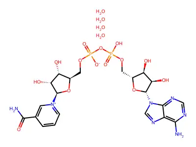 beta-Nicotinamide adenine dinucleotide 4-hydrate structure