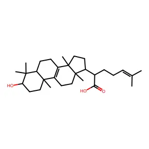 α-榄香醇酸 structure