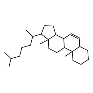 Cholest-6-ene structure