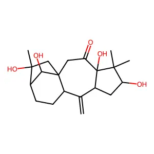 3,5,14,16-Tetrahydroxygrayanotox-10-en-6-one structure