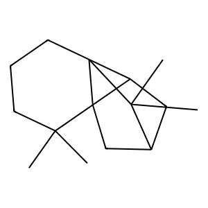 Cycloisolongifolene structure