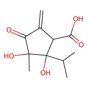 Xanthocidin structure