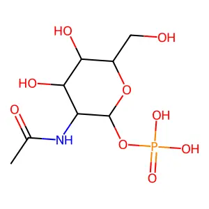 N-acetyl-D-glucosamine 1-phosphate structure
