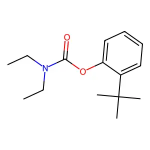 邻叔丁基苯酚二乙基氨基甲酸酯 structure