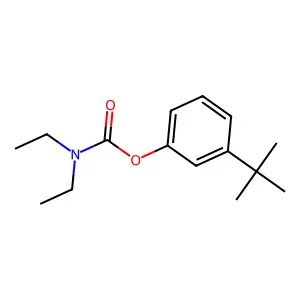 Carbamic acid, diethyl-, 3-(1,1-dimethylethyl)phenyl ester structure