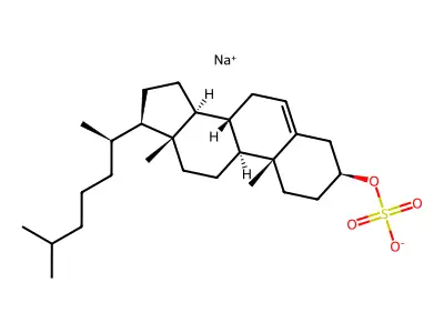Sodium cholesteryl sulfate structure