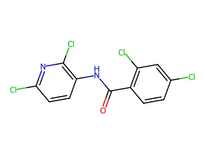 2,4-dichloro-N-(2,6-dichloropyridin-3-yl)benzamide structure