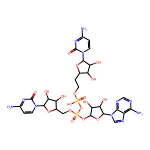 Cytidylyl-cytidylyl-adenosine structure