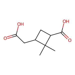 松酸 structure