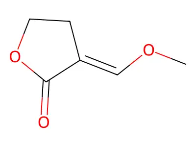 3-(Methoxymethylidene)oxolan-2-one structure
