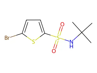 5-Bromo-N-tert-butylthiophene-2-sulfonamide structure