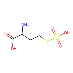 S-Sulfohomocysteine structure