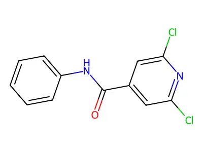 2,6-Dichloro-N-phenylisonicotinamide structure