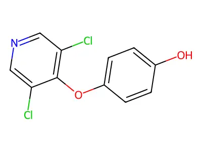4-(3,5-Dichloro-pyridin-4-yloxy)-phenol structure