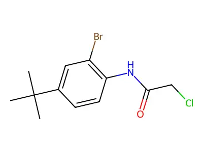 N1-[2-bromo-4-(tert-butyl)phenyl]-2-chloroacetamide structure