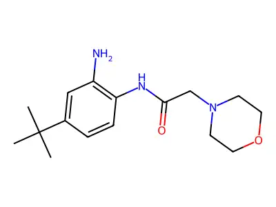 N-(2-amino-4-tert-butylphenyl)-2-(morpholin-4-yl)acetamide structure