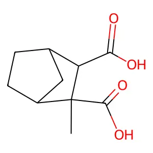 2-methylbicyclo[2.2.1]heptane-2,3-dicarboxylic acid structure
