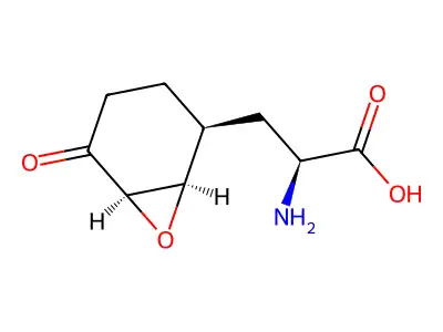 3-[(1r,2r,6r)-5-Oxo-7-oxabicyclo[4.1.0]hept-2-yl]-l-alanine structure