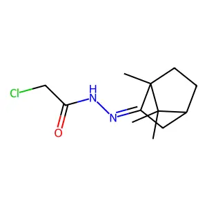 2-Bornanone chloroacetylhydrazone structure