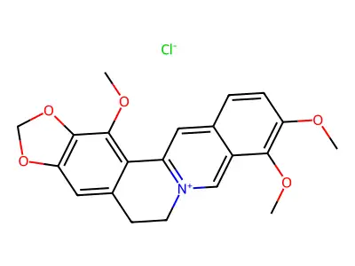 1-Methoxyberberium structure