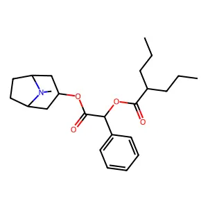 B5167 structure