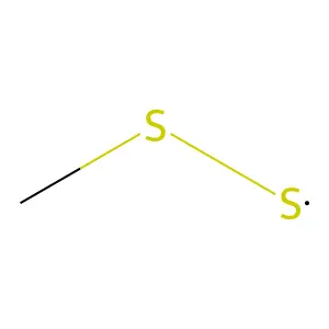 Methyldithio radical structure