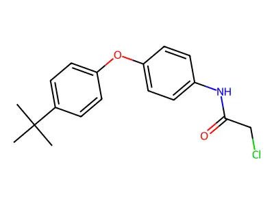 N-[4-(4-tert-butylphenoxy)phenyl]-2-chloroacetamide structure