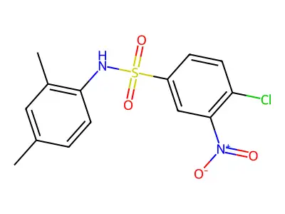 4-chloro-N-(2,4-dimethylphenyl)-3-nitrobenzene-1-sulfonamide structure