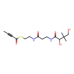 3-Butynoylpantetheine structure