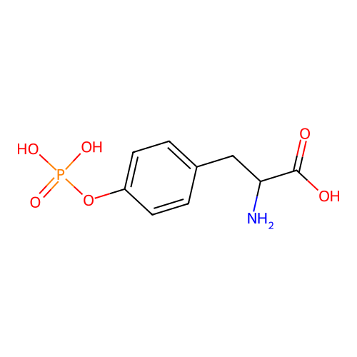 O-phosphonotyrosine structure