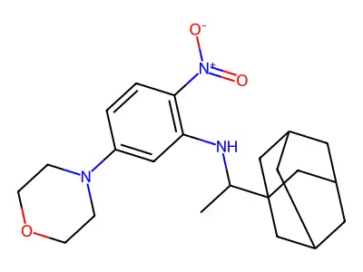 N-[1-(1-adamantyl)ethyl]-5-morpholin-4-yl-2-nitroaniline structure