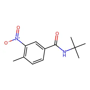 N-叔丁基-4-甲基-3-硝基苯甲酰胺 structure